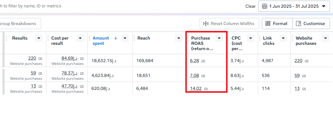Swan Meta Ads ROAS breakdown